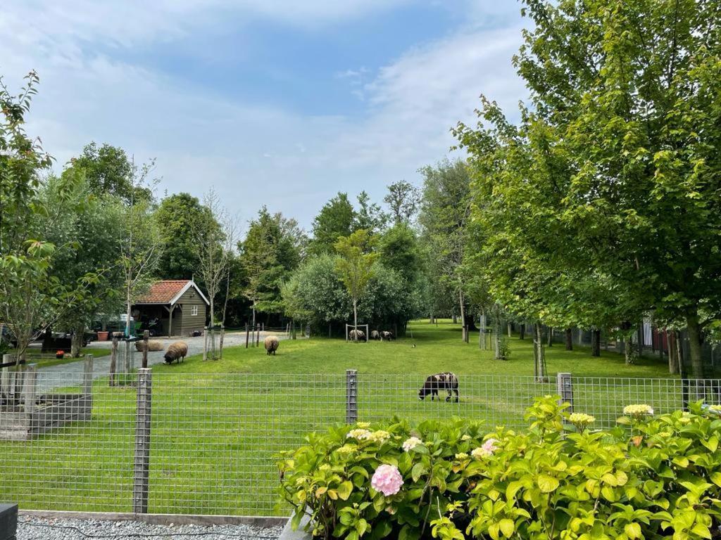 Flora'S B&B Landsmeer Zewnętrze zdjęcie