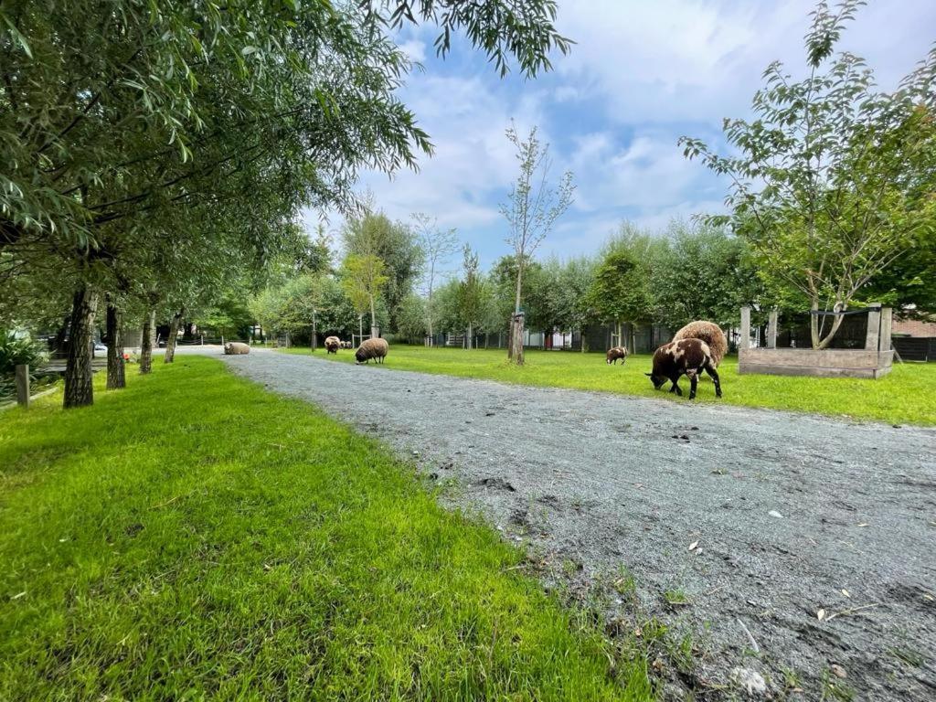 Flora'S B&B Landsmeer Zewnętrze zdjęcie